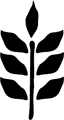 ARROLÉ