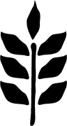 ARROLÉ